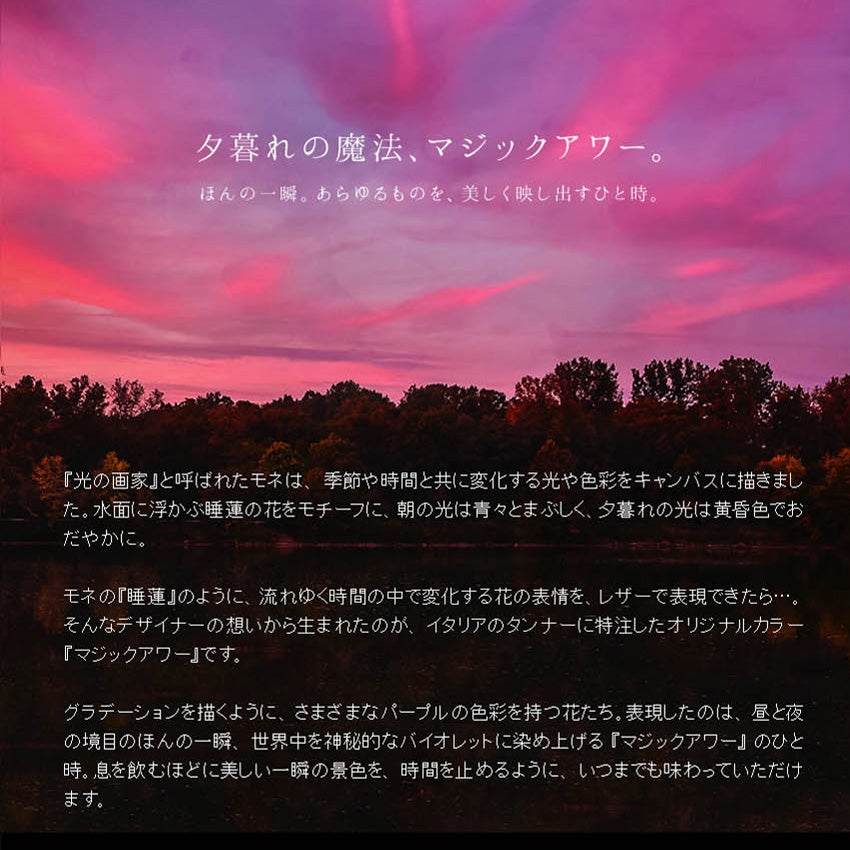 エルモアリス　マジックアワー